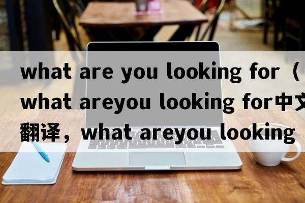 what are you looking for（what areyou looking for中文翻譯，what areyou looking for是什么意思，what areyou lookin