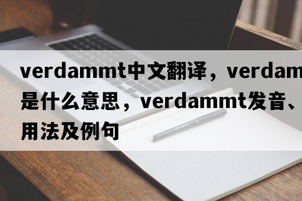 verdammt中文翻譯，verdammt是什么意思，verdammt發(fā)音、用法及例句