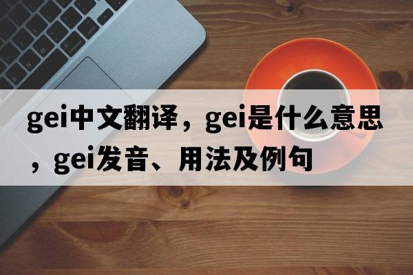GEI中文翻譯，GEI是什么意思，GEI發(fā)音、用法及例句