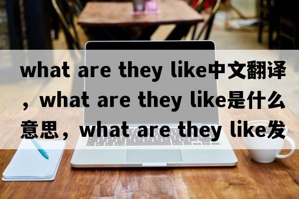what are they like中文翻譯，what are they like是什么意思，what are they like發(fā)音、用法及例句