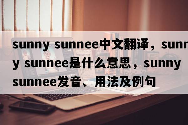 sunny sunnee中文翻譯，sunny sunnee是什么意思，sunny sunnee發(fā)音、用法及例句