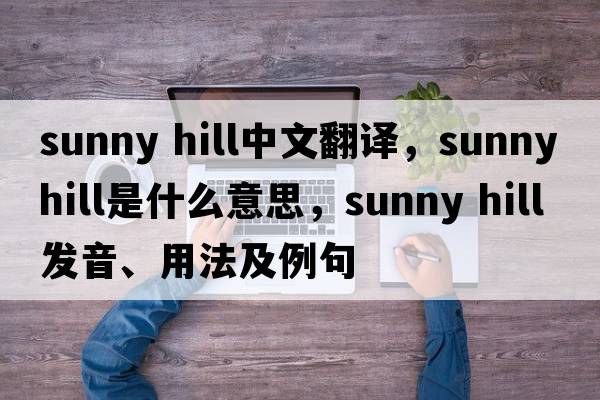 sunny hill中文翻譯，sunny hill是什么意思，sunny hill發(fā)音、用法及例句