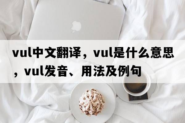 vul中文翻譯，vul是什么意思，vul發(fā)音、用法及例句