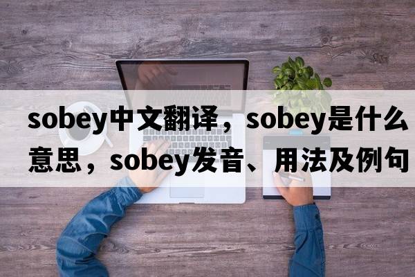 sobey中文翻譯，sobey是什么意思，sobey發(fā)音、用法及例句