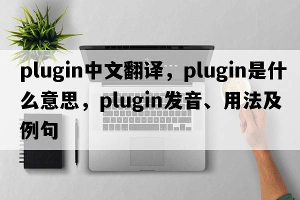 plugin中文翻譯，plugin是什么意思，plugin發(fā)音、用法及例句