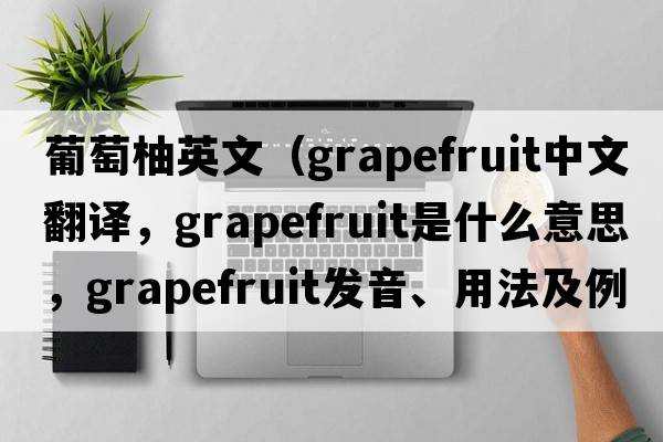 葡萄柚英文（grapefruit中文翻譯，grapefruit是什么意思，grapefruit發(fā)音、用法及例句）
