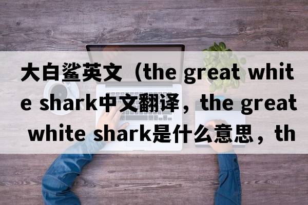 大白鯊英文（the great white shark中文翻譯，the great white shark是什么意思，the great white shark發(fā)音、用法及例句）