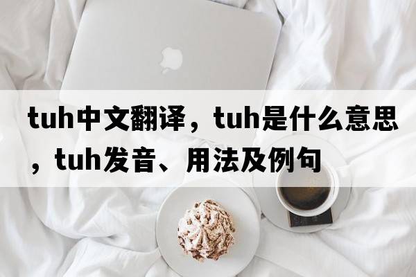 TUH中文翻譯，TUH是什么意思，TUH發(fā)音、用法及例句