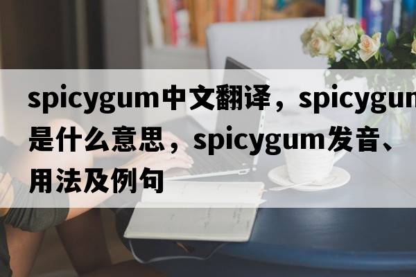 spicygum中文翻譯，spicygum是什么意思，spicygum發(fā)音、用法及例句