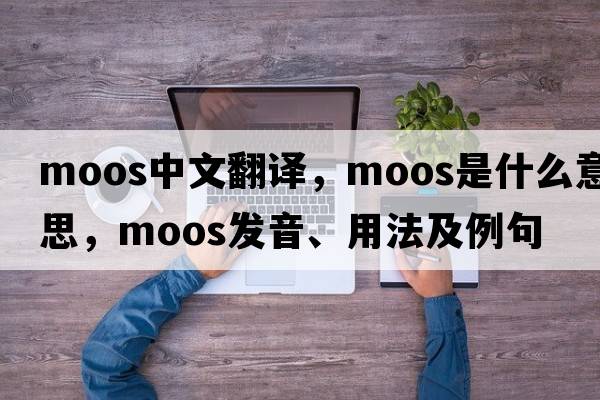 moos中文翻譯，moos是什么意思，moos發(fā)音、用法及例句