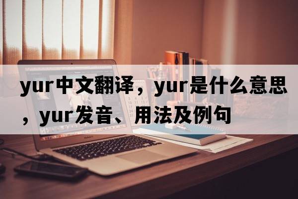 Yur中文翻譯，Yur是什么意思，Yur發(fā)音、用法及例句