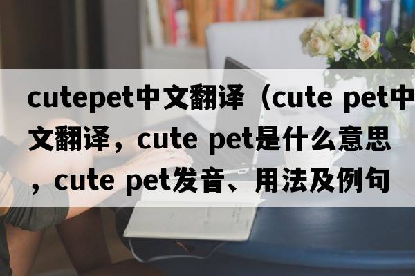 cutepet中文翻譯（cute pet中文翻譯，cute pet是什么意思，cute pet發(fā)音、用法及例句）