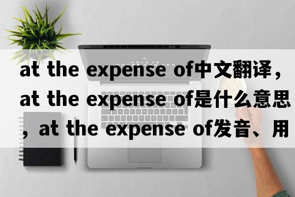 at the expense of中文翻譯，at the expense of是什么意思，at the expense of發(fā)音、用法及例句