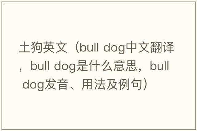 土狗英文（bull dog中文翻譯，bull dog是什么意思，bull dog發(fā)音、用法及例句）