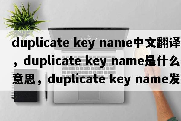 duplicate key name中文翻譯，duplicate key name是什么意思，duplicate key name發(fā)音、用法及例句