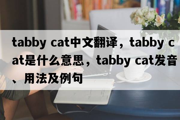 tabby cat中文翻譯，tabby cat是什么意思，tabby cat發(fā)音、用法及例句