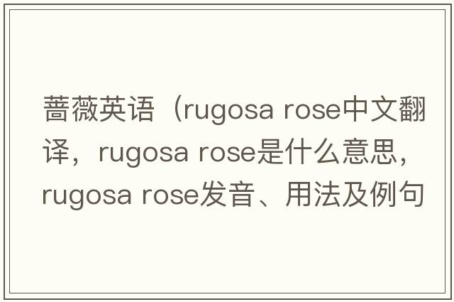 薔薇英語(yǔ)（rugosa rose中文翻譯，rugosa rose是什么意思，rugosa rose發(fā)音、用法及例句）