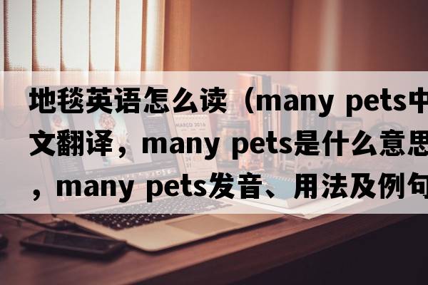 地毯英語(yǔ)怎么讀（many pets中文翻譯，many pets是什么意思，many pets發(fā)音、用法及例句）