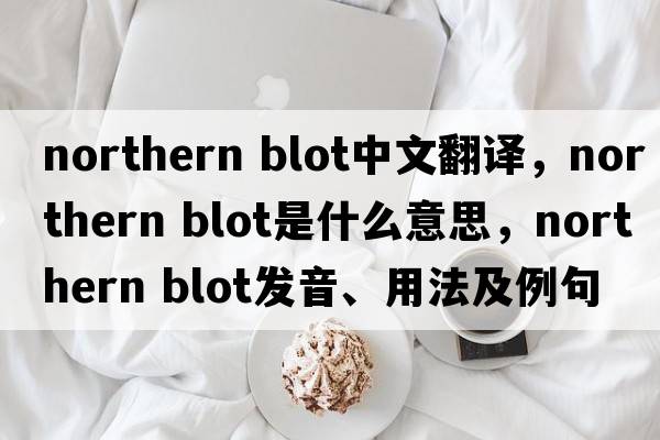 northern blot中文翻譯，northern blot是什么意思，northern blot發(fā)音、用法及例句