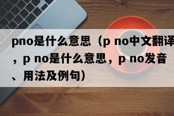 pno是什么意思（p no中文翻譯，p no是什么意思，p no發(fā)音、用法及例句）