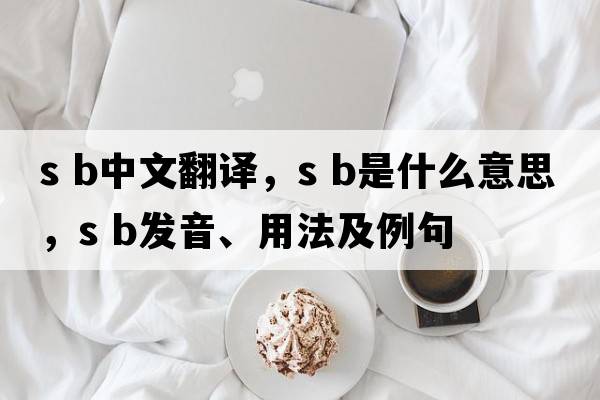 s b中文翻譯，s b是什么意思，s b發(fā)音、用法及例句