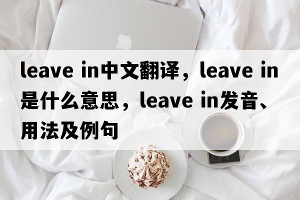 leave in中文翻譯，leave in是什么意思，leave in發(fā)音、用法及例句