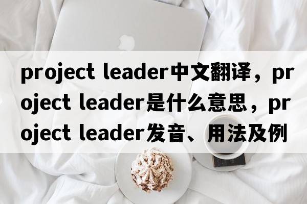 project leader中文翻譯，project leader是什么意思，project leader發(fā)音、用法及例句