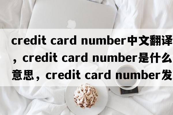 credit card number中文翻譯，credit card number是什么意思，credit card number發(fā)音、用法及例句