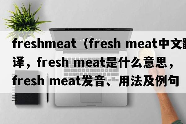 freshmeat（fresh meat中文翻譯，fresh meat是什么意思，fresh meat發(fā)音、用法及例句）