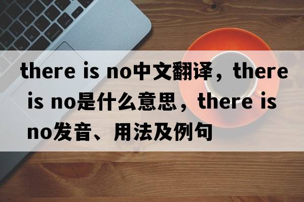 There is no中文翻譯，There is no是什么意思，There is no發(fā)音、用法及例句
