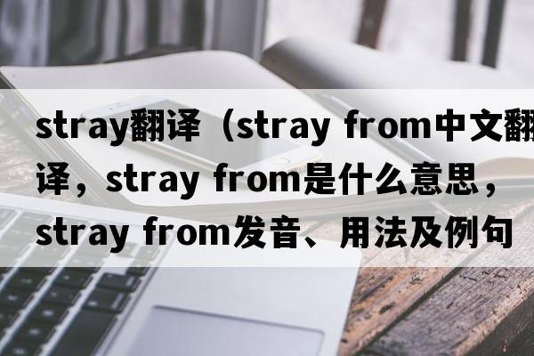 stray翻譯（stray from中文翻譯，stray from是什么意思，stray from發(fā)音、用法及例句）