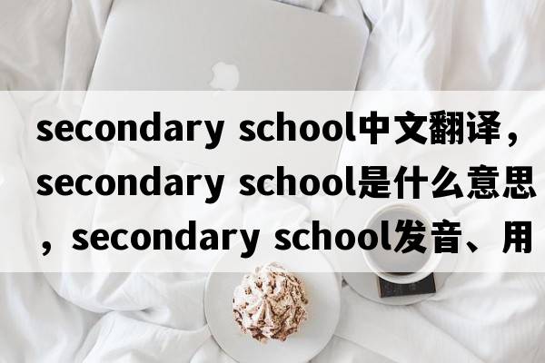 secondary school中文翻譯，secondary school是什么意思，secondary school發(fā)音、用法及例句