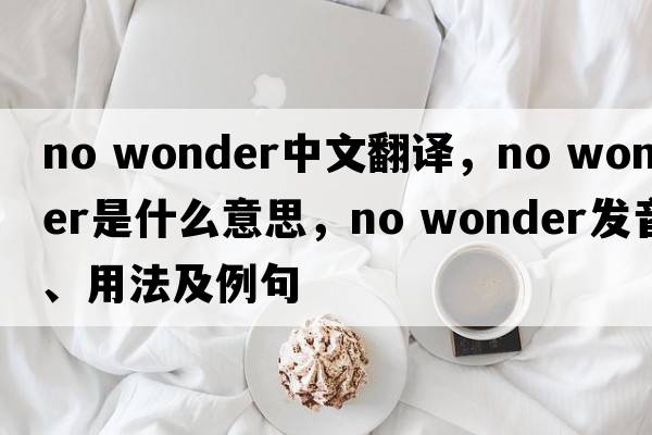 no wonder中文翻譯，no wonder是什么意思，no wonder發(fā)音、用法及例句
