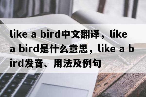 like a bird中文翻譯，like a bird是什么意思，like a bird發(fā)音、用法及例句