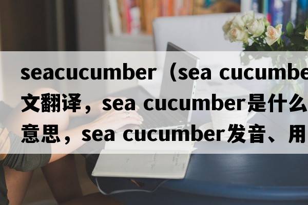 seacucumber（sea cucumber中文翻譯，sea cucumber是什么意思，sea cucumber發(fā)音、用法及例句）
