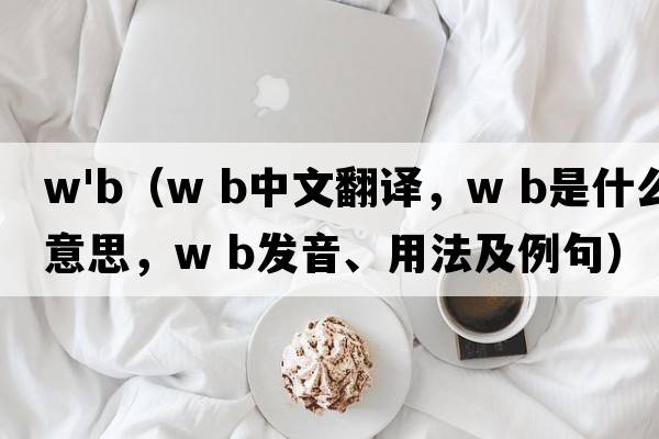 w'b（W B中文翻譯，W B是什么意思，W B發(fā)音、用法及例句）