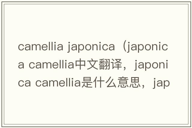 camellia japonica（japonica camellia中文翻譯，japonica camellia是什么意思，japonica camellia發(fā)音、用法及例句）