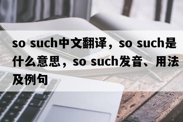 so such中文翻譯，so such是什么意思，so such發(fā)音、用法及例句