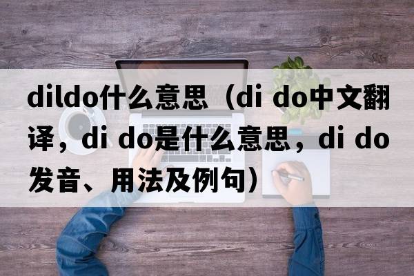 dildo什么意思（DI DO中文翻譯，DI DO是什么意思，DI DO發(fā)音、用法及例句）