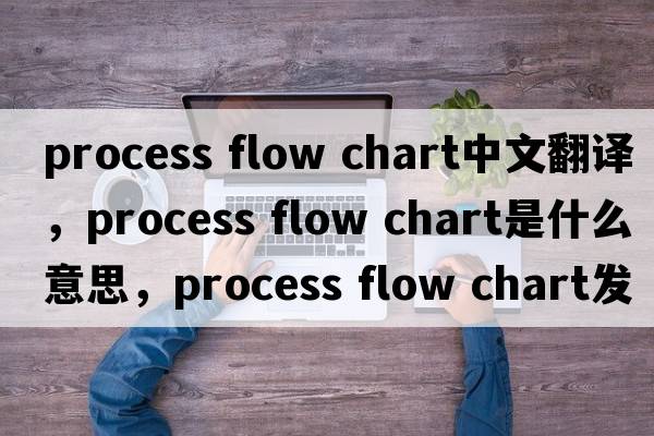 process flow chart中文翻譯，process flow chart是什么意思，process flow chart發(fā)音、用法及例句