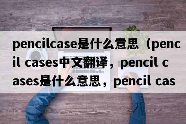 pencilcase是什么意思（pencil cases中文翻譯，pencil cases是什么意思，pencil cases發(fā)音、用法及例句）