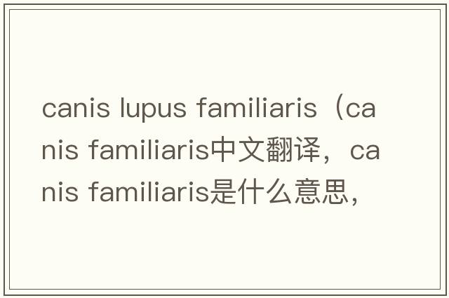 canis lupus familiaris（canis familiaris中文翻譯，canis familiaris是什么意思，canis familiaris發(fā)音、用法及例句）
