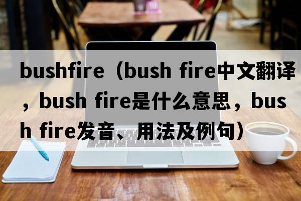 bushfire（bush fire中文翻譯，bush fire是什么意思，bush fire發(fā)音、用法及例句）