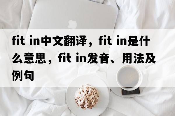 fit in中文翻譯，fit in是什么意思，fit in發(fā)音、用法及例句