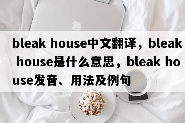 bleak house中文翻譯，bleak house是什么意思，bleak house發(fā)音、用法及例句