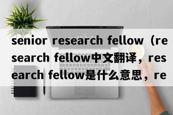 senior research fellow（research fellow中文翻譯，research fellow是什么意思，research fellow發(fā)音、用法及例句）