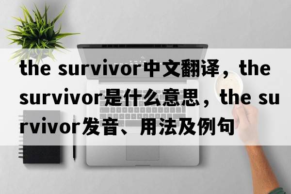 the survivor中文翻譯，the survivor是什么意思，the survivor發(fā)音、用法及例句