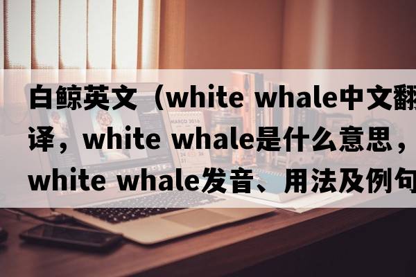 白鯨英文（white whale中文翻譯，white whale是什么意思，white whale發(fā)音、用法及例句）