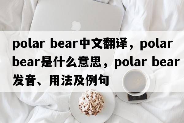 polar bear中文翻譯，polar bear是什么意思，polar bear發(fā)音、用法及例句
