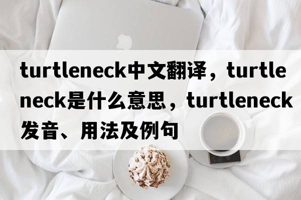 turtleneck中文翻譯，turtleneck是什么意思，turtleneck發(fā)音、用法及例句